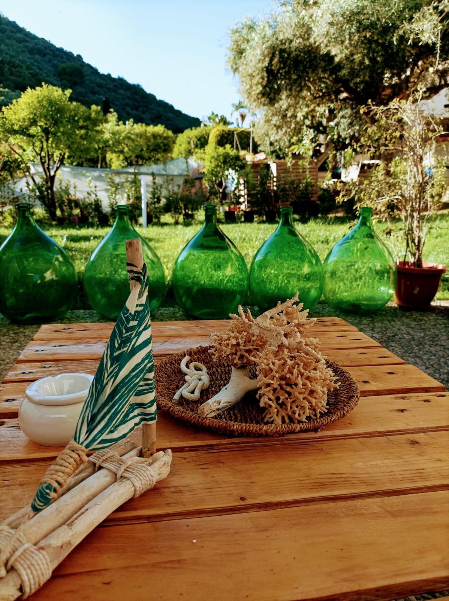 Laris Bed & Breakfast Castellabate Bagian luar foto
